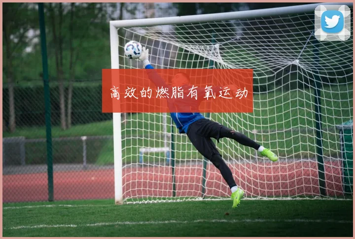 高效的燃脂有氧运动