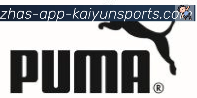 ky开云合作伙伴